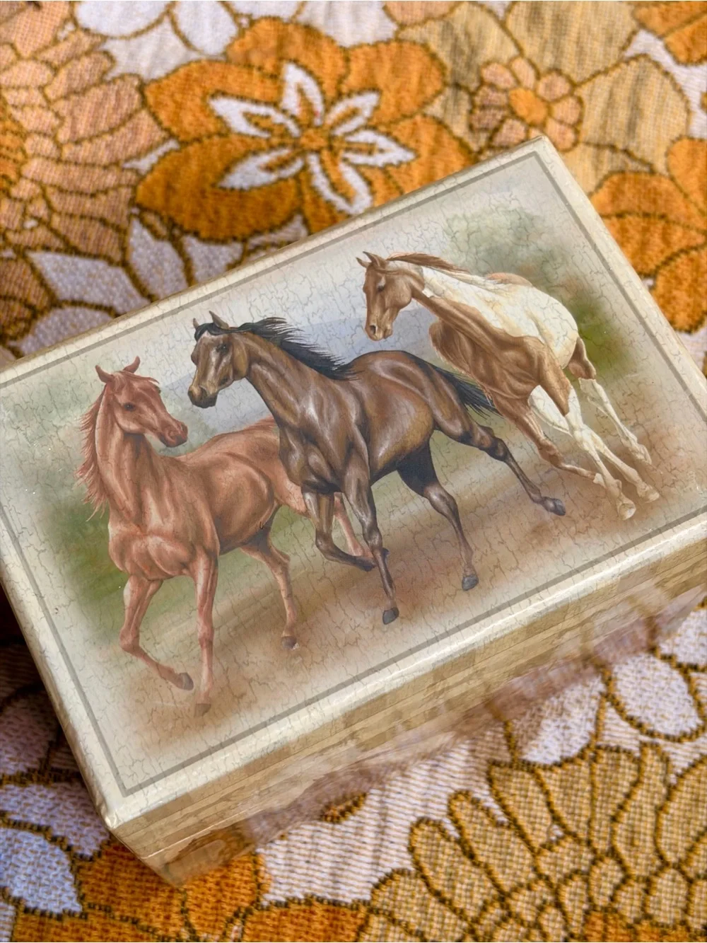 🐎🌾✨ Vintage Y2K Horse Recipe Box ✨🌾🐎